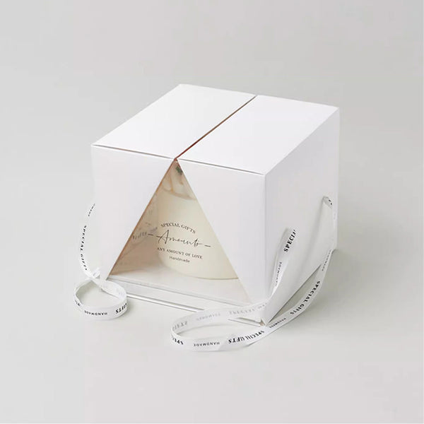 Folio Square Transparent Carrying Cake Box