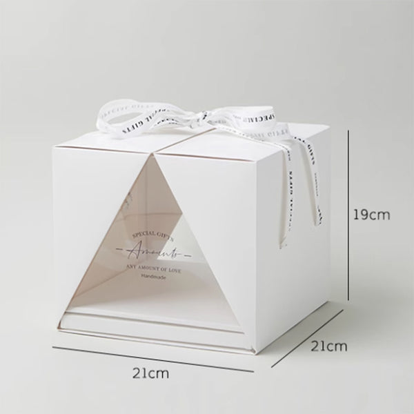 Folio Square Transparent Carrying Cake Box