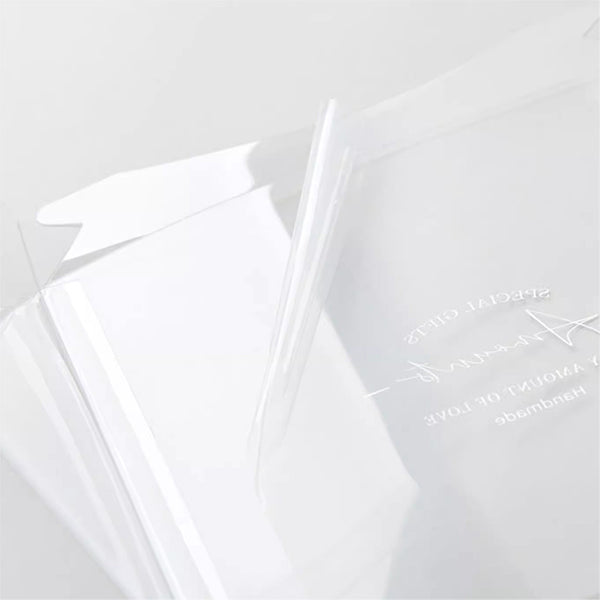 Folio Square Transparent Carrying Cake Box