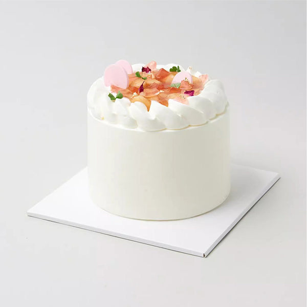 Folio Square Transparent Carrying Cake Box